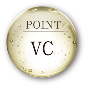 POINT VC