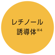 レチノール誘導体※4